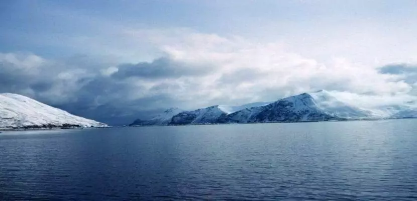 北極海